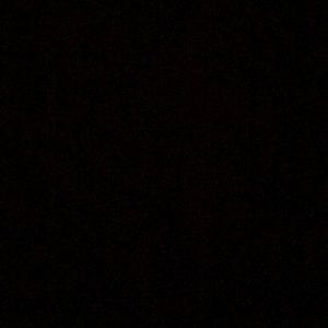 Meet your Posher, Leila